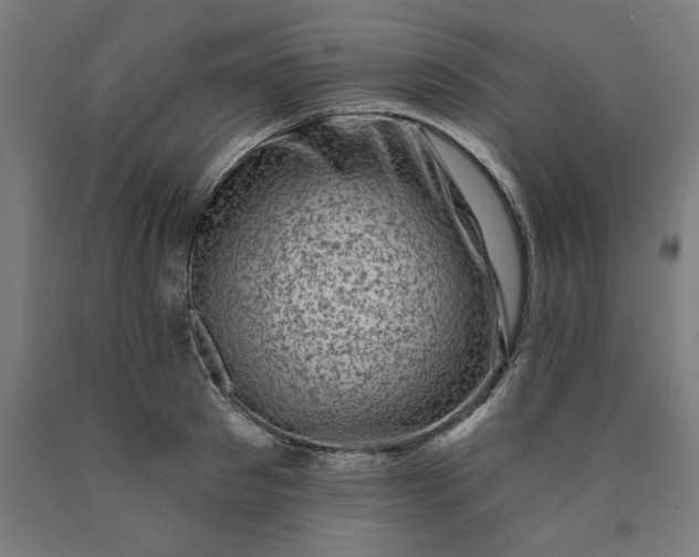 X0000090630897200707311303