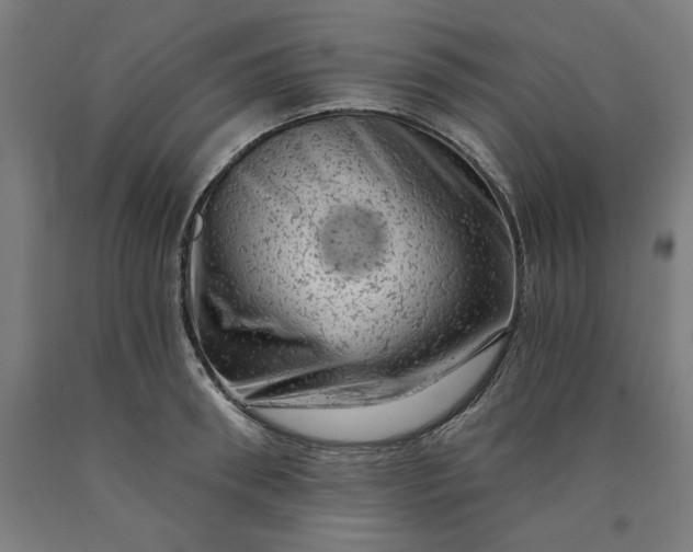 X0000090630898200707311303