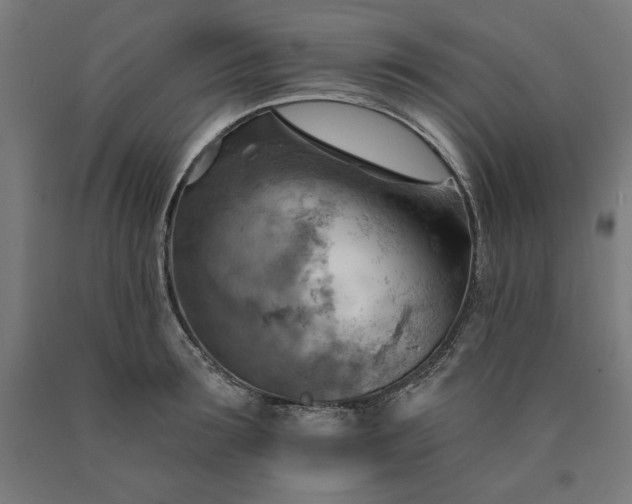 X0000090630899200707311303