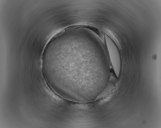 X0000090630900200707311303