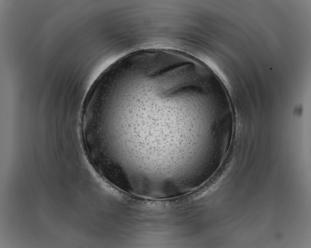 X0000090630901200707311303