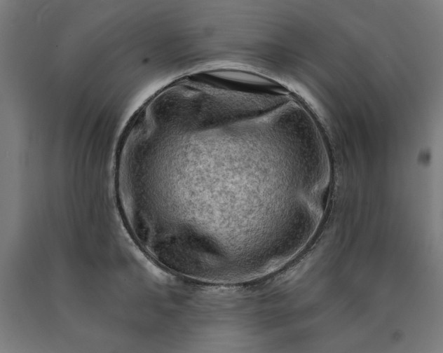 X0000090630902200707311303