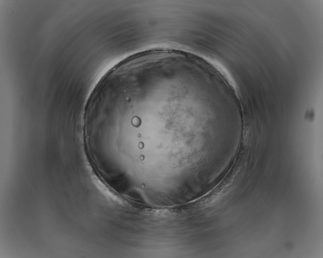 X0000090630903200707311303