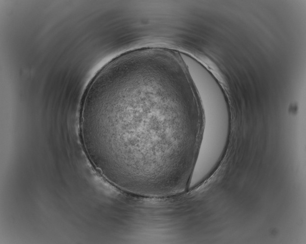 X0000090630904200707311303