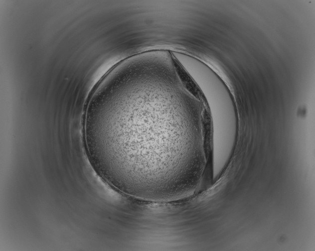 X0000090630906200707311303