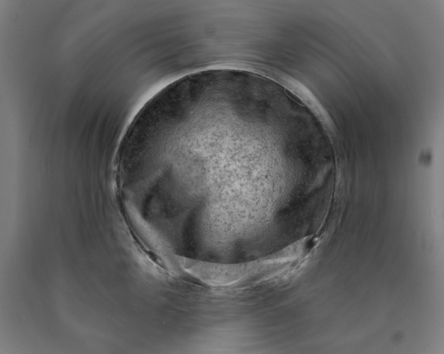 X0000090630908200707311302