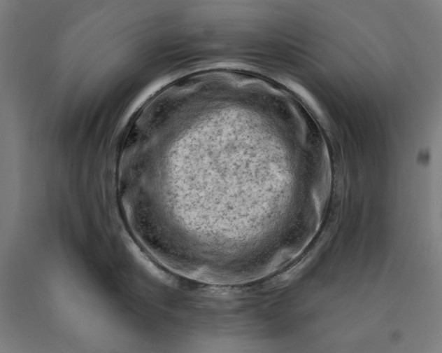 X0000090630910200707311302