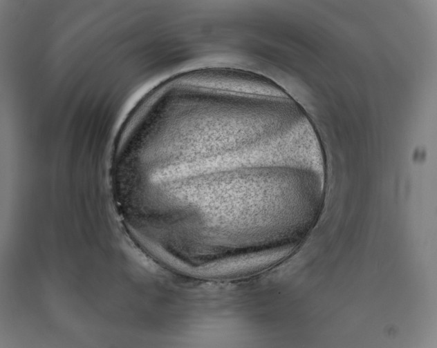 X0000090630912200707311302