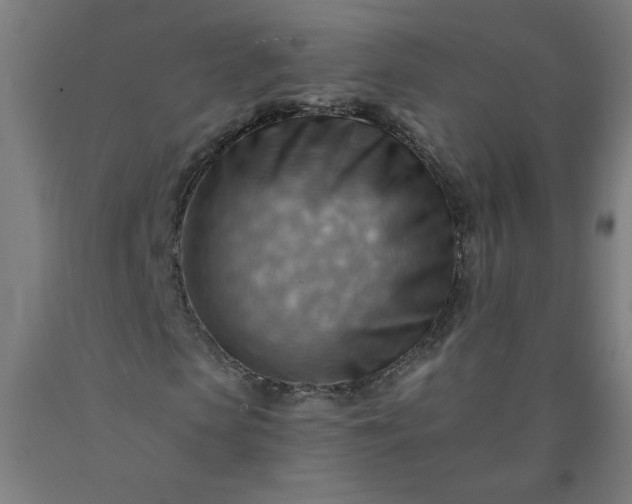 X0000090630913200707311302