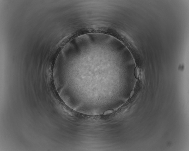 X0000090630915200707311302
