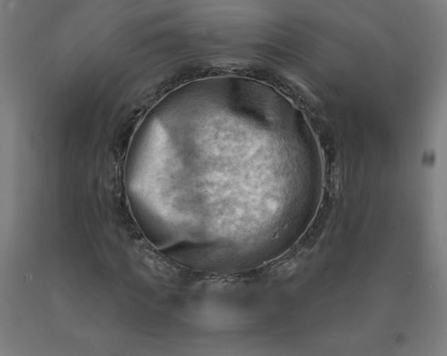 X0000090630917200707311302