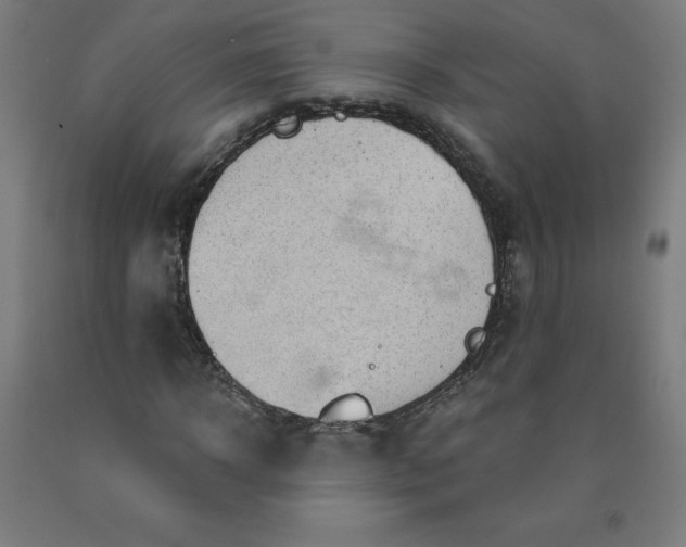 X0000090630918200707311302