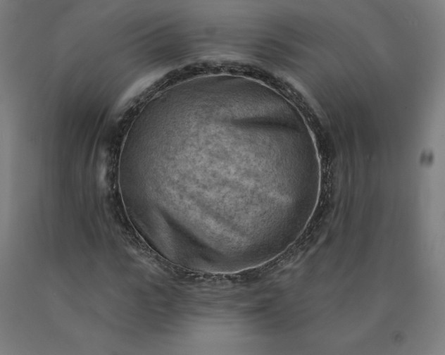 X0000090630919200707311302