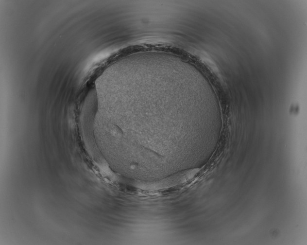 X0000090630920200707311302