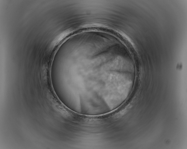 X0000090630921200707311302