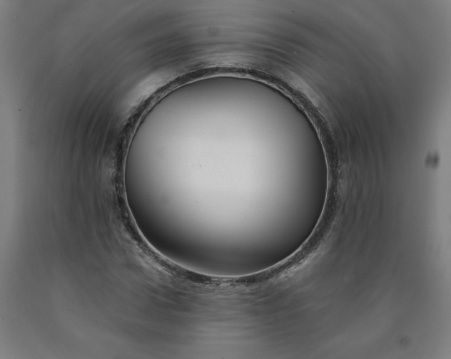 X0000090630922200707311302