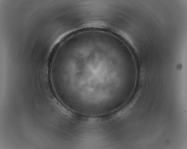 X0000090630923200707311302