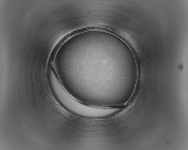 X0000090630924200707311302