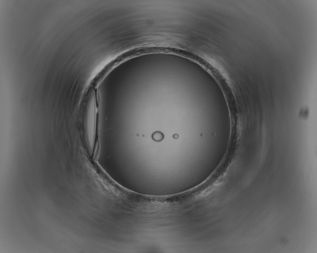 X0000090630925200707311302