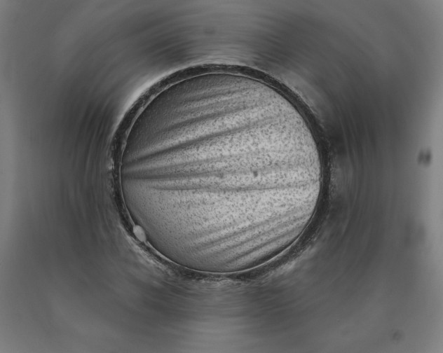 X0000090630926200707311302