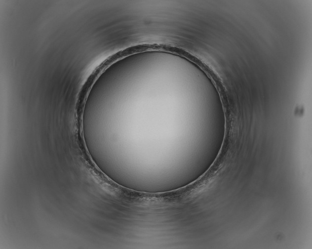 X0000090630927200707311302