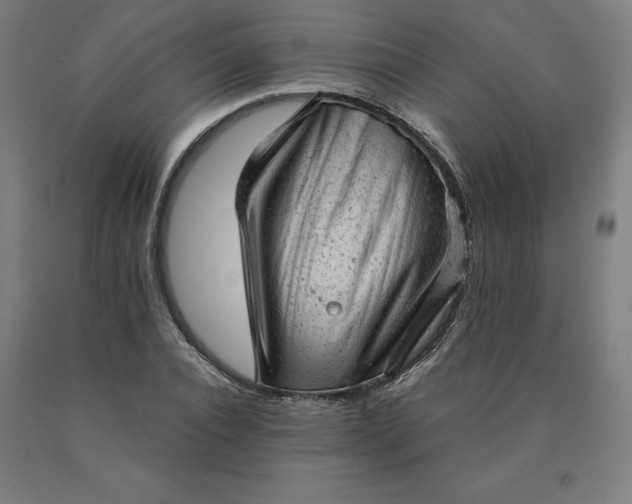 X0000090630928200707311302