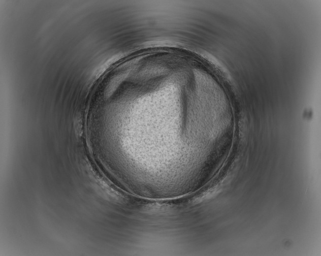 X0000090630929200707311302