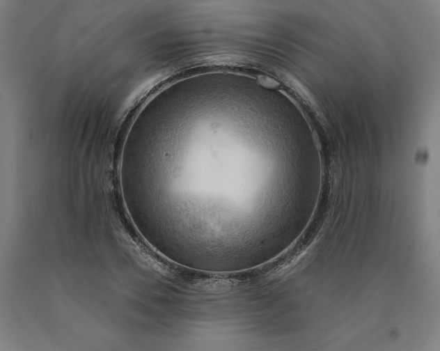 X0000090630930200707311302