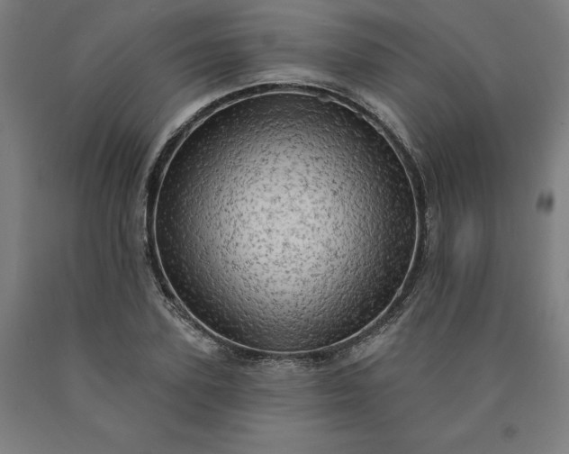 X0000090630931200707311302