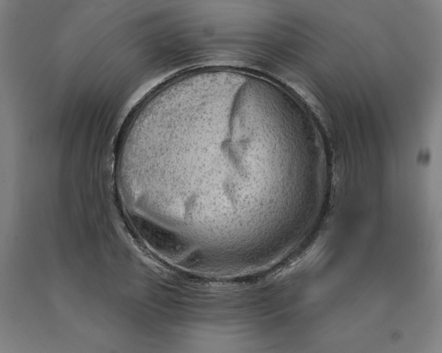 X0000090630933200707311302