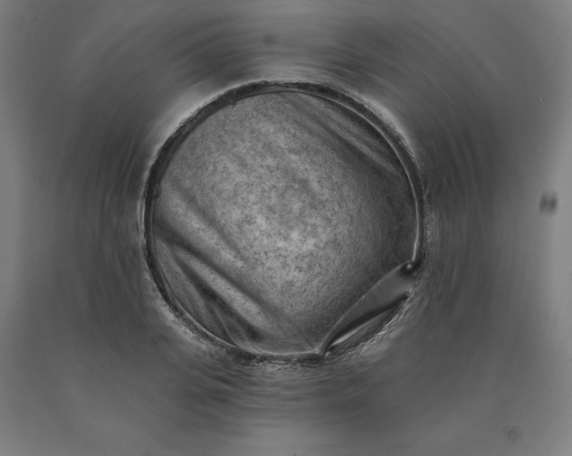 X0000090630935200707311302