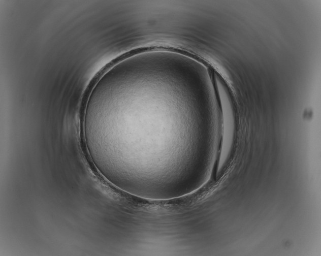 X0000090630936200707311302