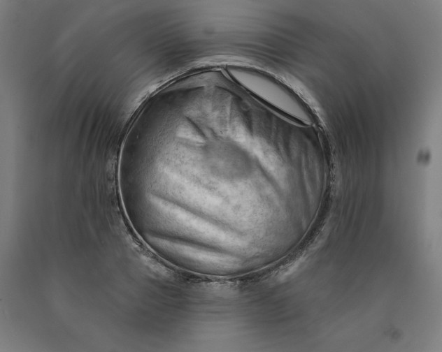 X0000090630937200707311302