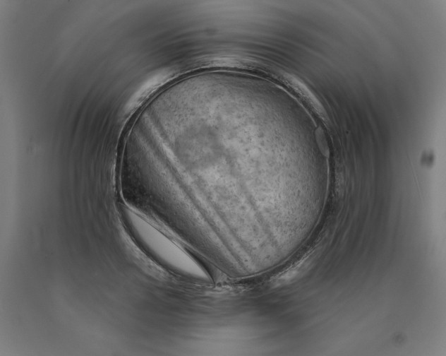 X0000090630938200707311302