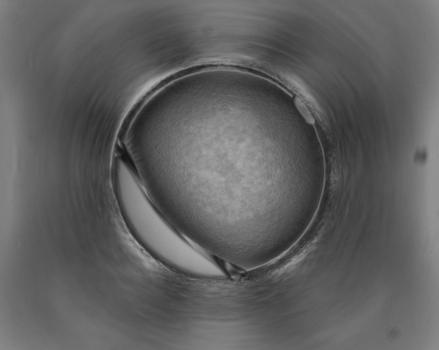 X0000090630940200707311302