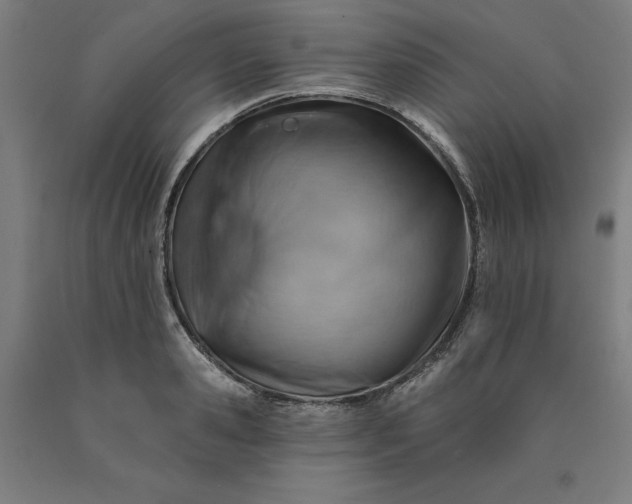 X0000090630941200707311302