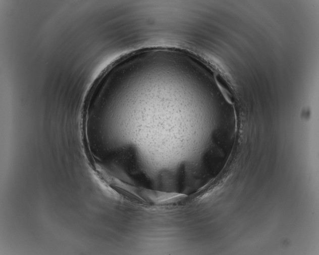 X0000090630942200707311302