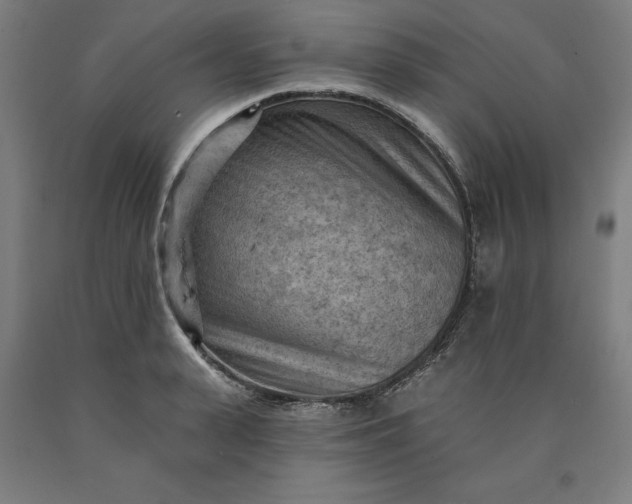 X0000090630943200707311302