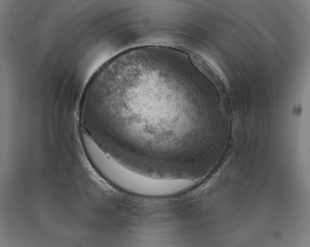 X0000090630944200707311302