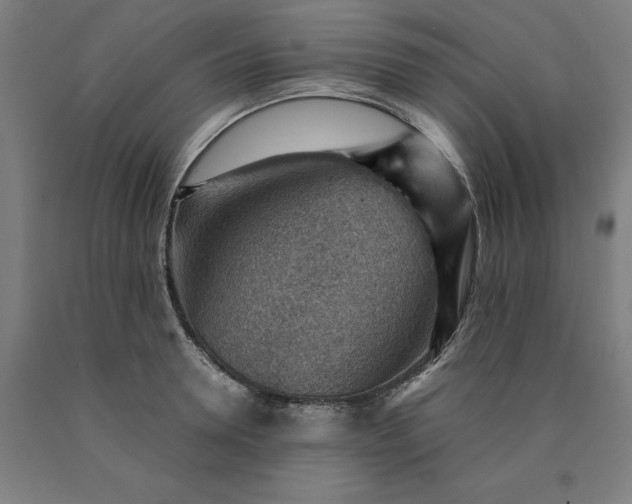 X0000090630946200707311302