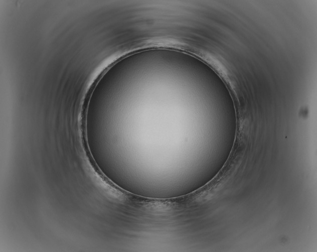 X0000090630947200707311302