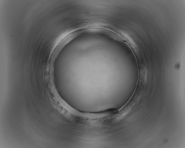 X0000090630948200707311302