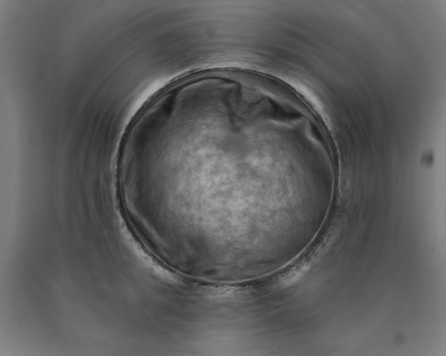 X0000090630949200707311302