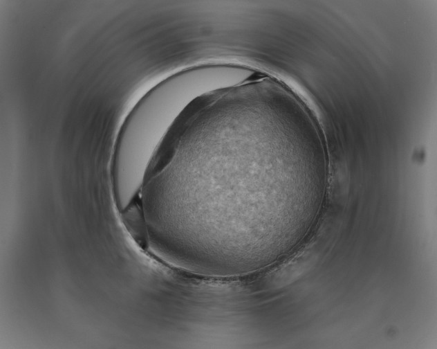 X0000090630951200707311302