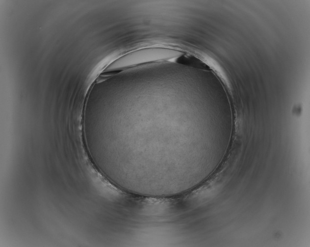 X0000090630954200707311302