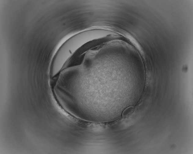 X0000090630955200707311302