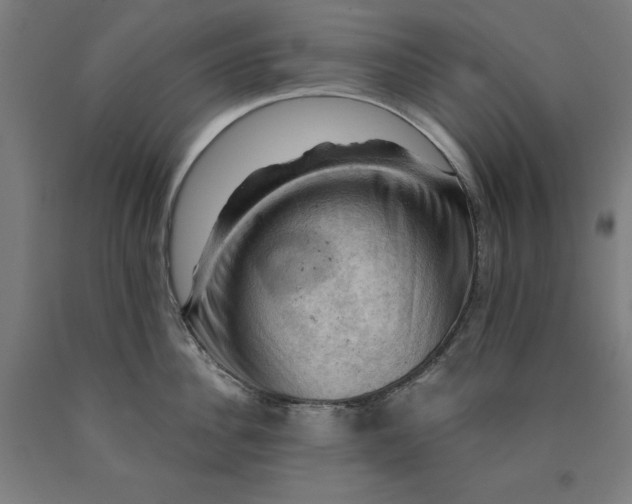 X0000090630956200707311302