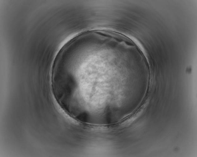 X0000090630957200707311302