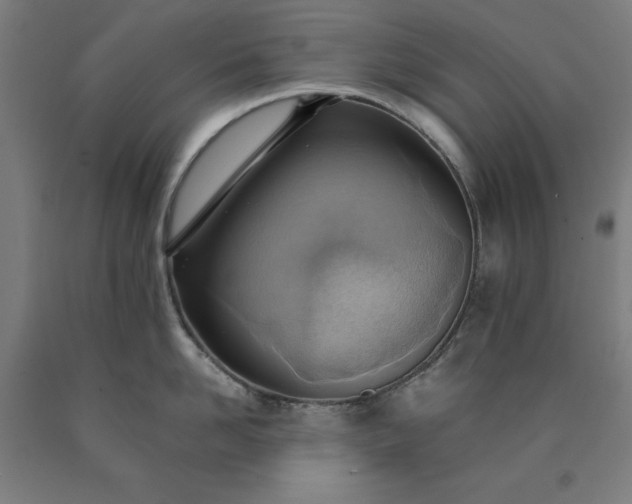 X0000090630958200707311302