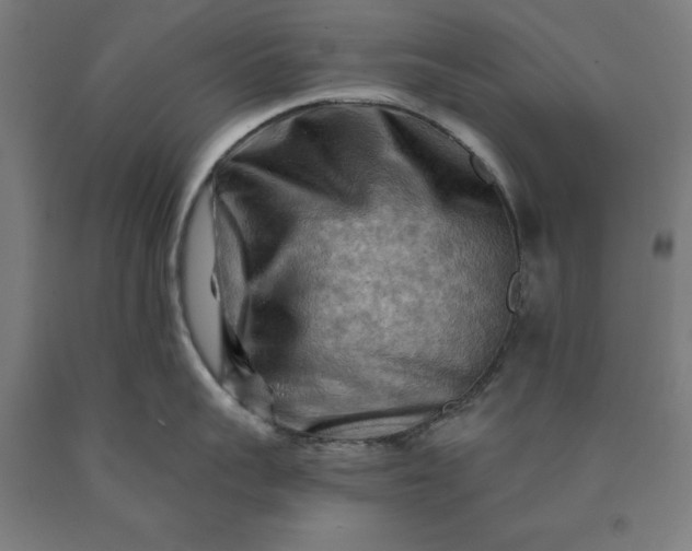 X0000090630959200707311302